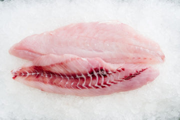 Saddletail Snapper Fillets