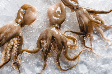 Baby Octopus (500g)