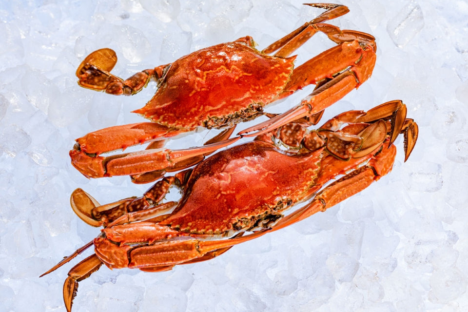 Cooked Blue Swimmer Crab (500g)