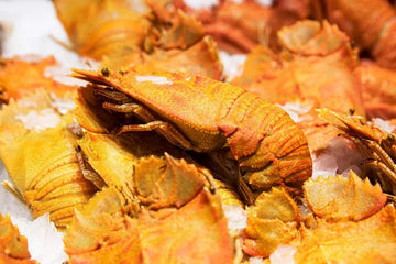 Cooked Moreton Bay Bugs (500g)