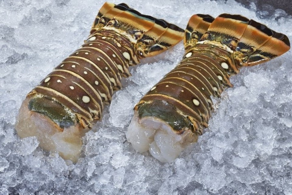 Green Large Lobster Tail (200g - 300g)