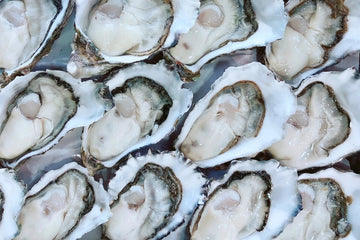 Large Pacific Oyster (Half Dozen)