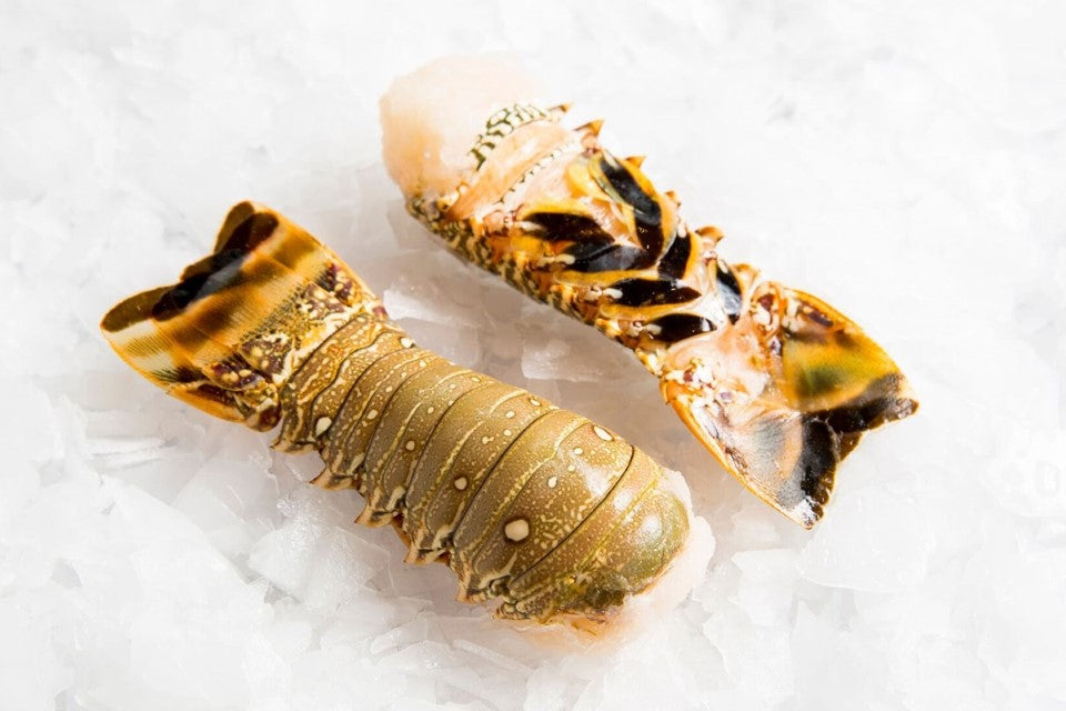 Green Small Lobster Tail (80g - 100g)