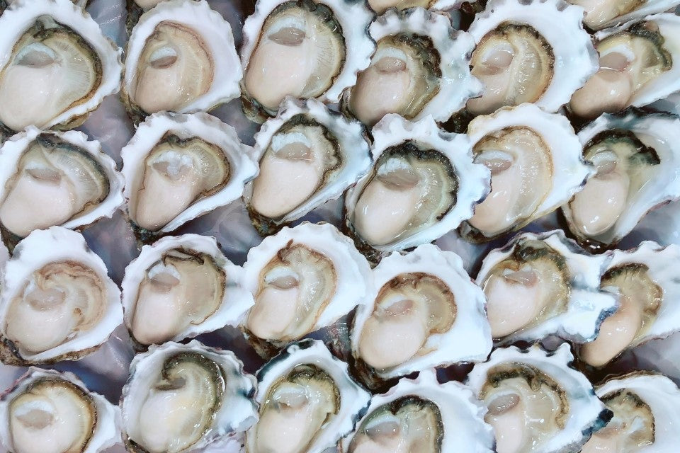 Indulge in A Grade Sydney Rock Oysters, available online for Sydney