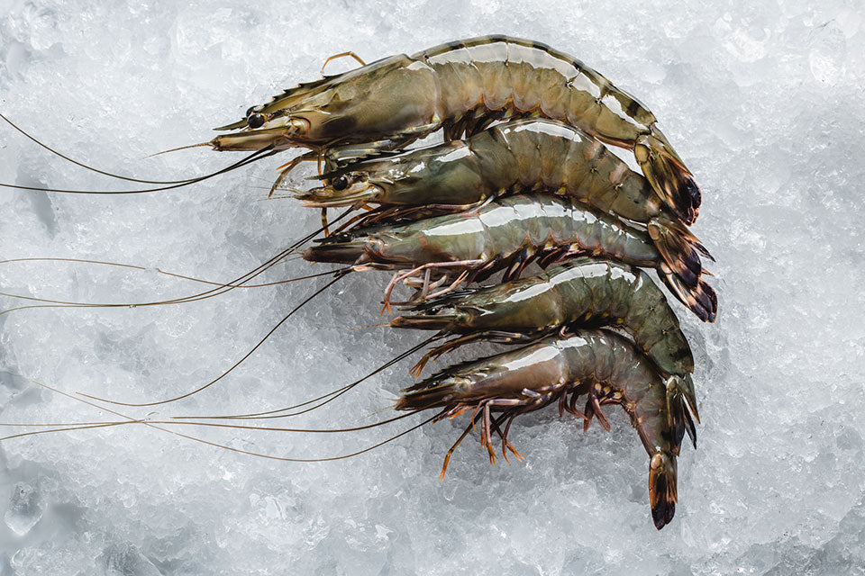 Product Of Australia Min (500g) Green Tiger prawns are prized for their ...